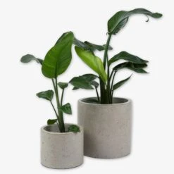 Pot Cement Ø27 Sand 9 Pot Cement Ø27 Sand -Einrichtungsgeschäft 401503 31891