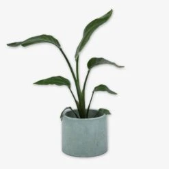 Pot Cement Ø19 Eucalyptus -Einrichtungsgeschäft 401504 31894