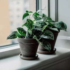 Blumentopf Terrakotta Grau Ø 13,5 Cm -Einrichtungsgeschäft 401508 31155