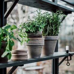 Blumentopf Terrakotta Grau Ø 13,5 Cm -Einrichtungsgeschäft 401508 33560