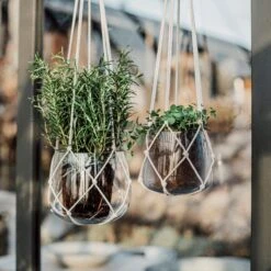 Ampel Glas Groß Natur -Einrichtungsgeschäft 401531 33848