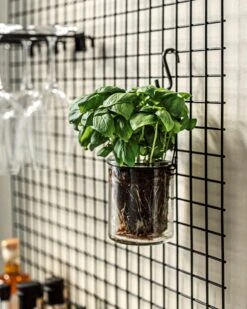 S-Haken Eisen 5 Cm 5er-Pack Schwarz 7 S-Haken Eisen 5 Cm 5er-Pack Schwarz -Einrichtungsgeschäft 401789 37620