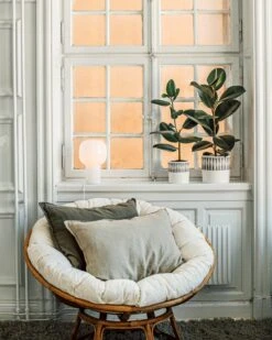 Blumentopf Stig Lindberg Diabolo 15 Cm Grau 12 Blumentopf Stig Lindberg Diabolo 15 Cm Grau -Einrichtungsgeschäft 401973 36495