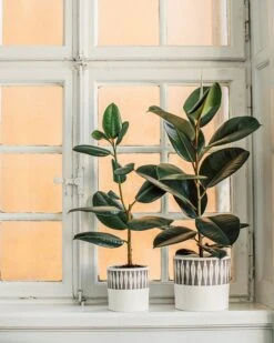 Blumentopf Stig Lindberg Diabolo 20 Cm Grau -Einrichtungsgeschäft 401974 36496