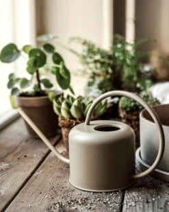 Gießkanne 0,9L Helles Khaki-Grün -Einrichtungsgeschäft 402263 38964