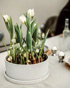 Topf/Untersetzer Polystone Niedrig Breit Weiß -Einrichtungsgeschäft 402600 38668