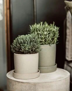 Topf/Schale Steingut 19 Cm Grün